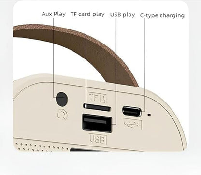 KoeBox |Bluetooth Karaoke Speaker with Microphone